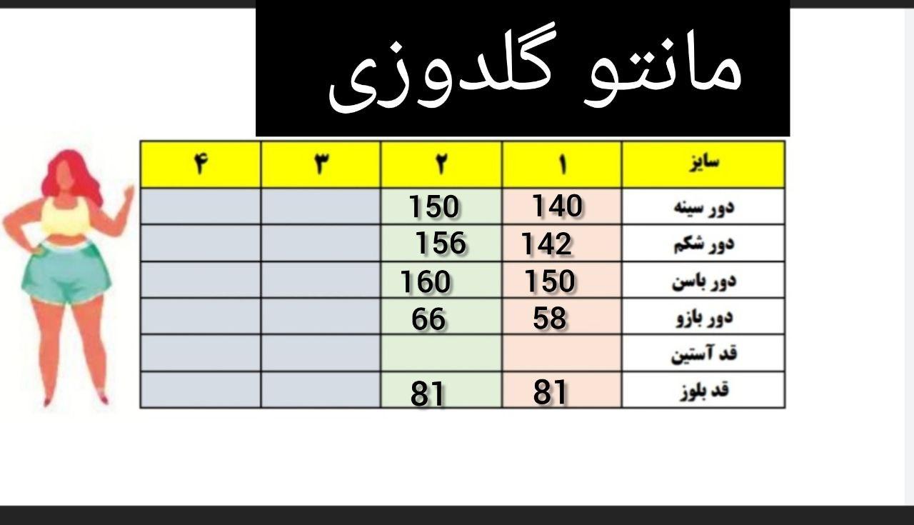 شومیز مانتویی گلدوزی کد :111